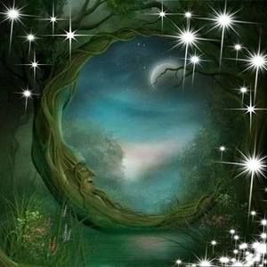 Meet your Posher, Tracie